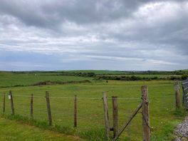 The site was surrounded by fields with cows and horses.