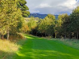 Dog walk