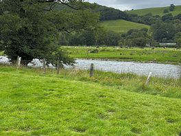River view.