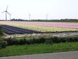 Local fields on bike ride