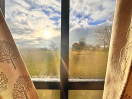 Morning view