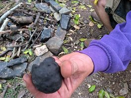 King alfred's cakes which are found in the forest used as a firefighter.