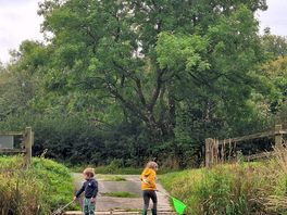 Children fishing with nets on the ford across the stream