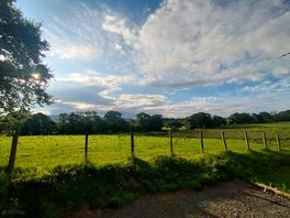 Our beautiful morning view