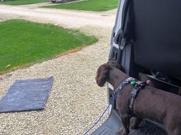 Large pitch very tidy