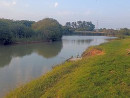 4 fishing ponds 5 min walk away