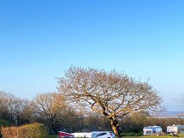 Blue sky in april.
