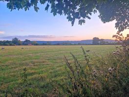Local farmland