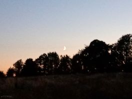 Moon over warren farm
