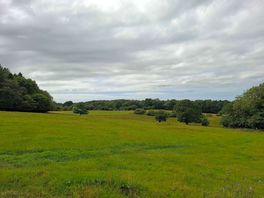 View from our tent.