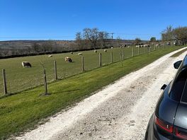 Glorious view