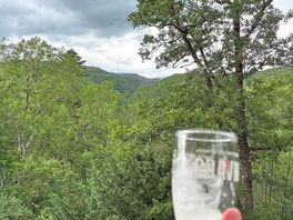 Local bar treetop view