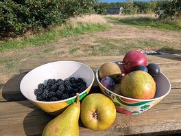 Fruit picked locally