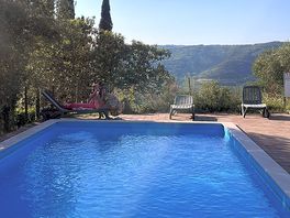 Pool at the campsite