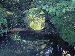 Canal view