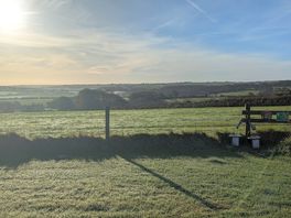 Early morning