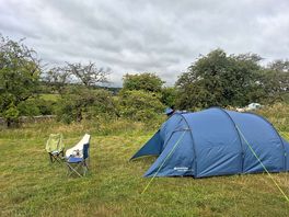 Mostly small tents on the site