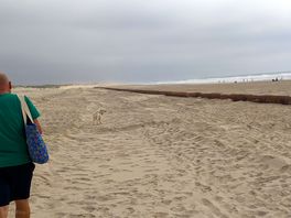 Pieds dans le sable, pieds dans l'eau