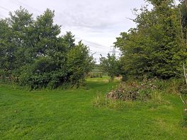 Beautiful walks