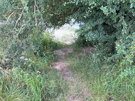 Steep access to river