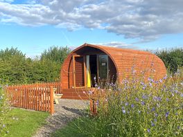 Pods in the wildflower meadow