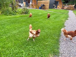 Loved how the site is on a farm