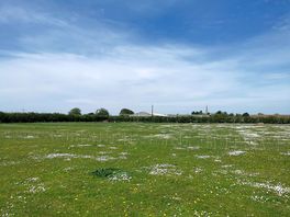 Grass pitches