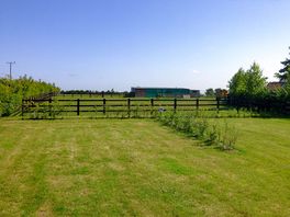Freshly cut grass