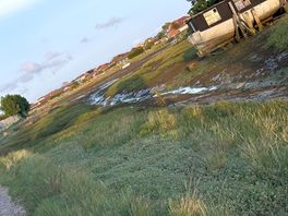 Low tide