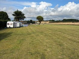 Field next to ponies