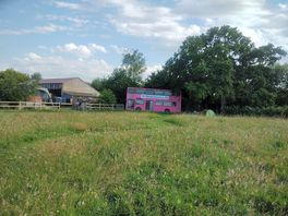 My little tent under the oak tree next to the pink bus 😊