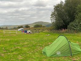 Views across the site