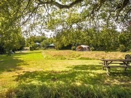 Plenty of space, with picnic benches for your meals