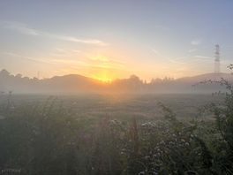 Sunrise mist over the site