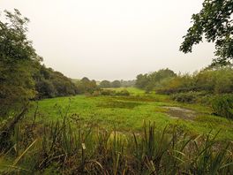Ponds