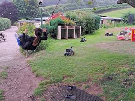 Who can say know to a tree swing