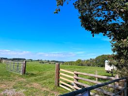 A morning view of the campsite field with toilet/sink facilities in shot.