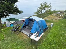 Our pitch