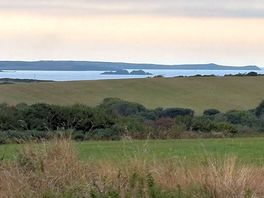 View from site