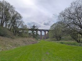 Viaduct by the dog walk