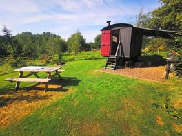 The hut