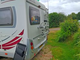 Pineapple farm