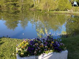 Bord du lac ou se trouve les emplacements