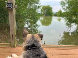 Enjoying the view