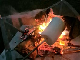 Marshmallows by the fire