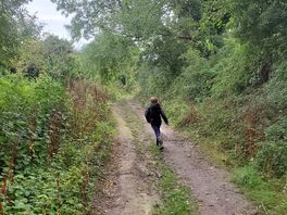 Walk into town