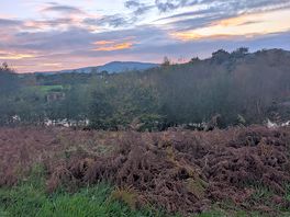 Walk out past ponds to forestry
