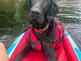 Day on the lake