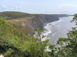 Dub raven bay