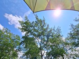 Soaking up the sun